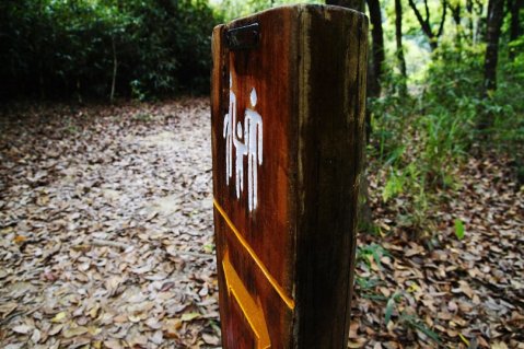 201521_10150165096815979_1542769_o